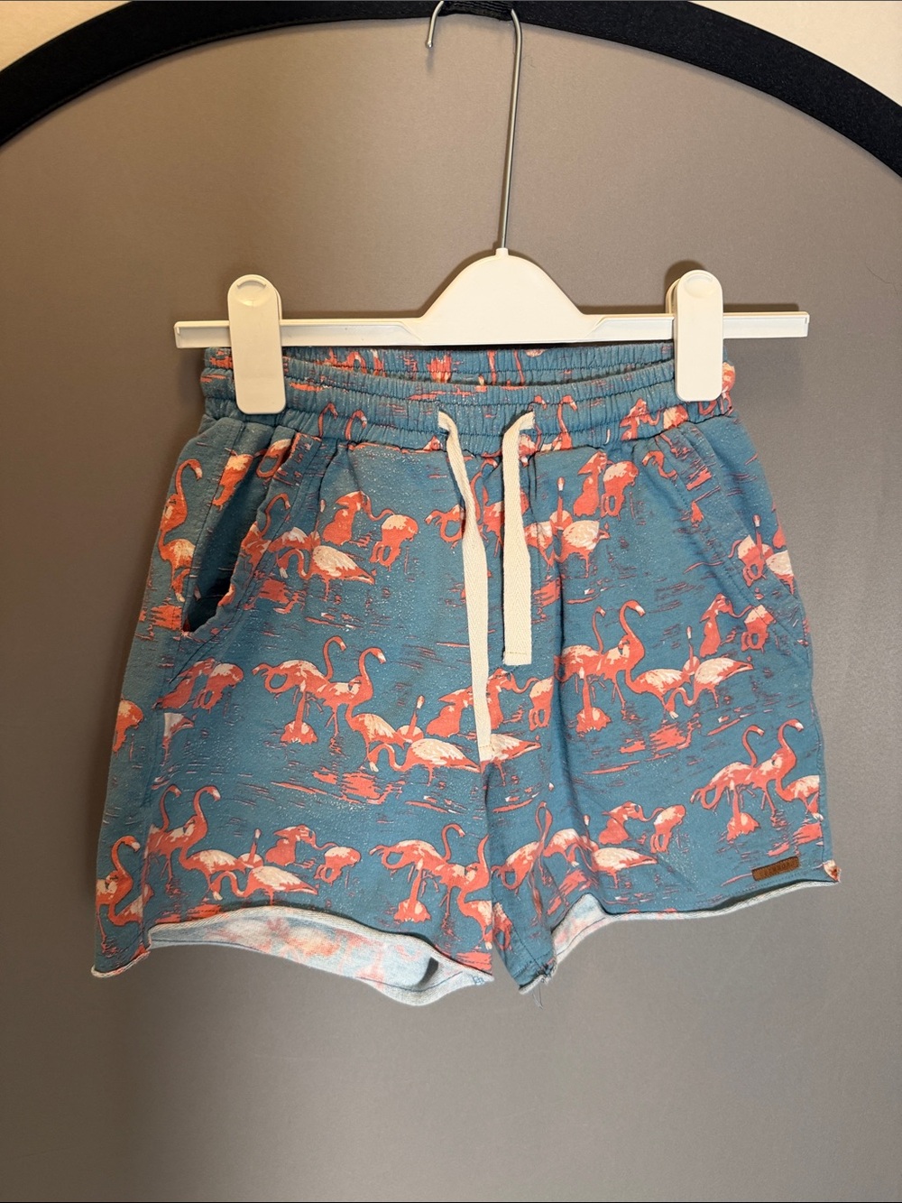 Blue Flamingo Print Drawstring Shorts